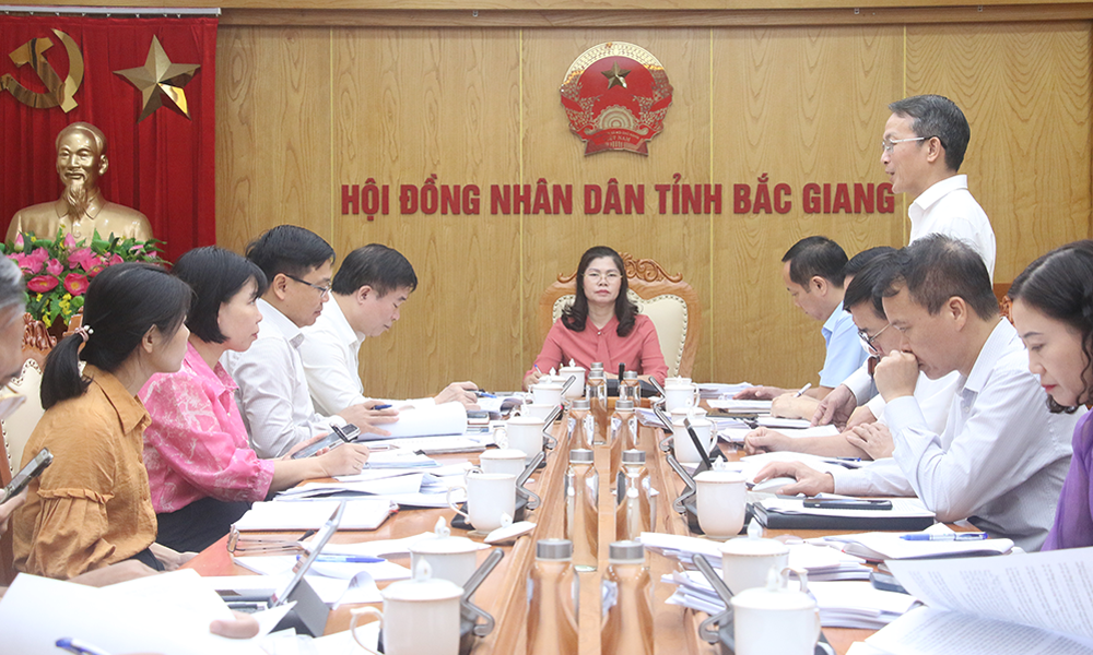  Đảng đoàn HĐND tỉnh Bắc Giang thẩm định một số dự thảo nghị quyết, báo cáo về kinh tế, xã hội